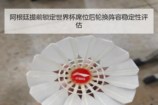 a-gen-ting-ti-qian-suo-ding-shi-jie-bei-xi-wei-hou-lun-huan-zhen-rong-wen-ding-xing-ping-gu-2-881.jpg